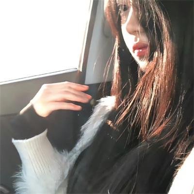 案中案